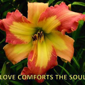 Love Comforts the Soul