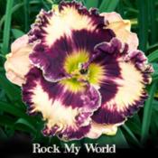 rock