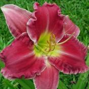 Stolen Treasure